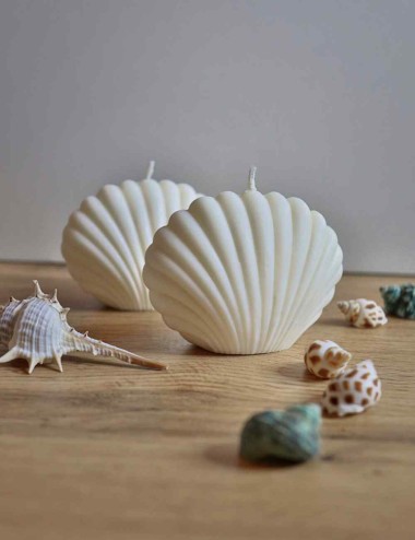 Κερί Cockle Seashell