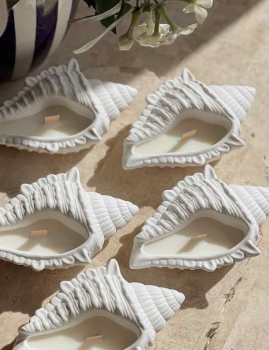 Κερί Calilla Seashell