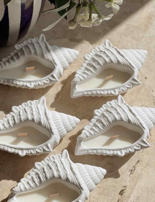 Κερί Calilla Seashell